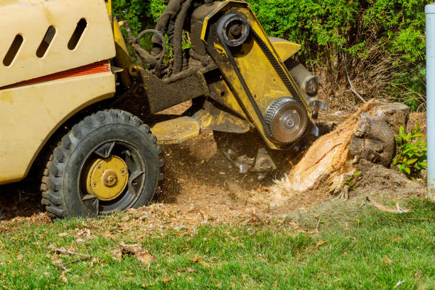 Best Commercial Tree Services  in Vonore, TN